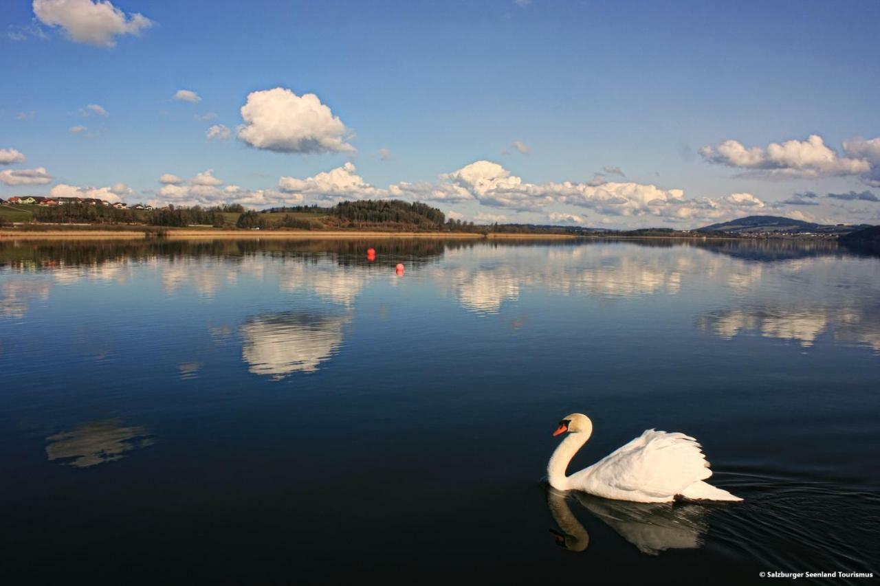 Pp-Camping Wallersee Seekirchen am Wallersee Exteriör bild